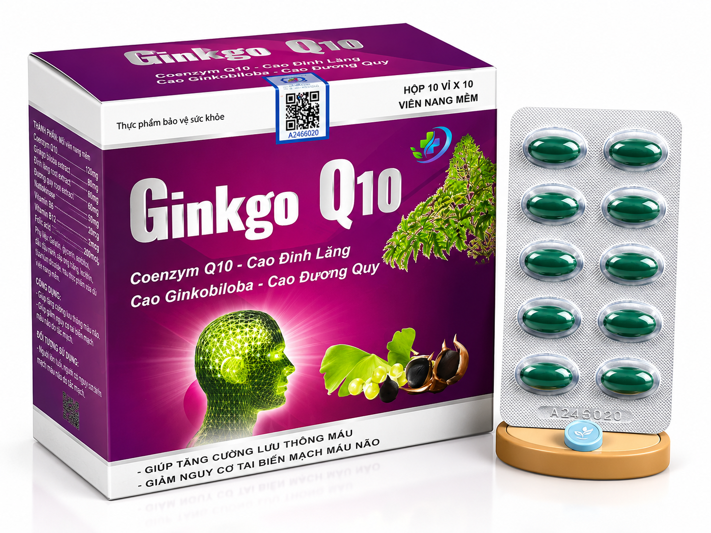 Vinaphar_Ginkgo Q10 120mg (Tím)_H/100v_K105