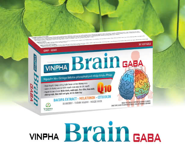 Vinpha Brain GABA_H30v