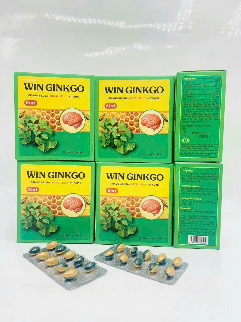 Win Ginkgo_H/100v